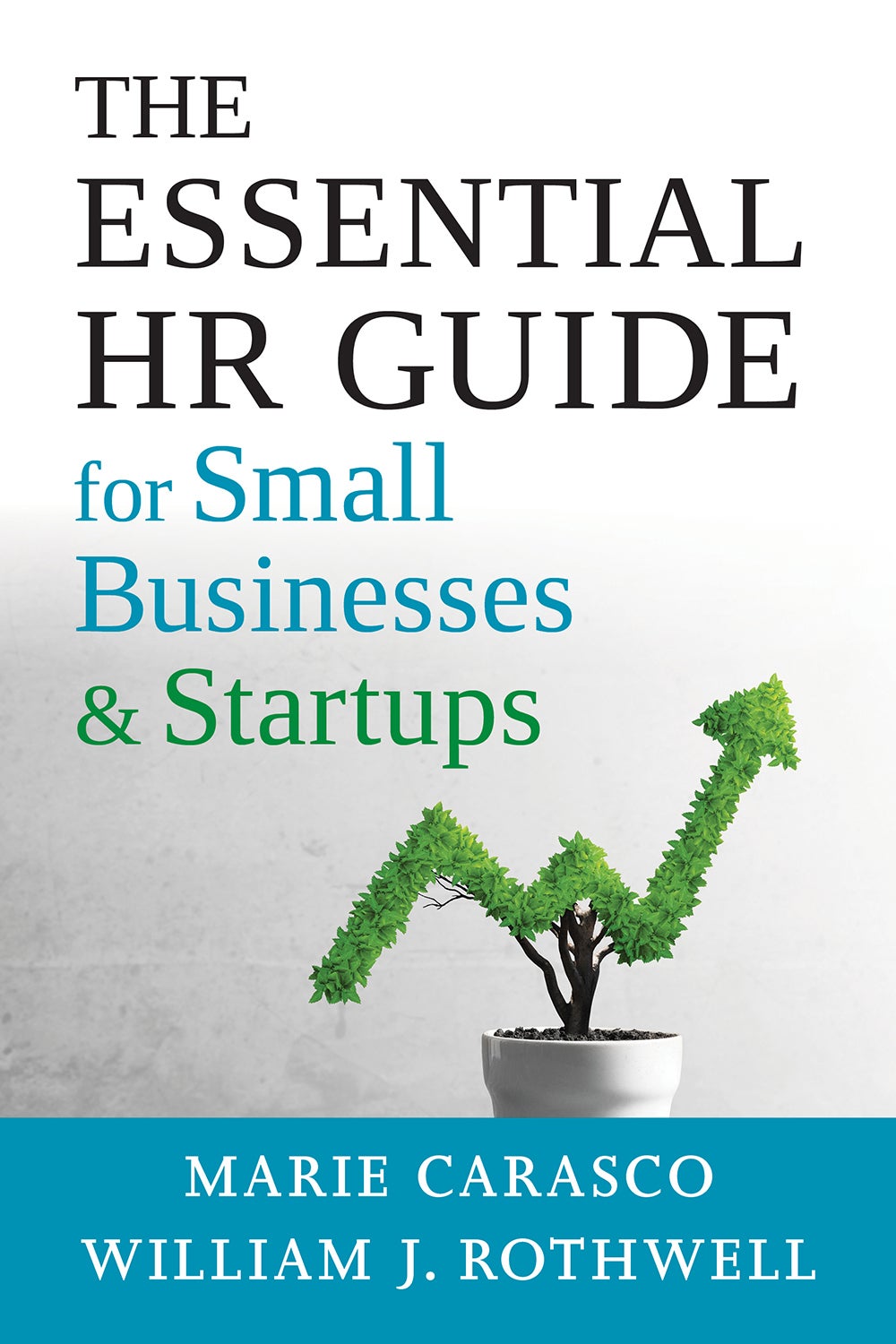 Essential HR Guide for Small Businesses and Startups: Best Practices, Tools, Examples, and Online Resources